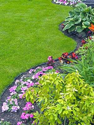 landscaping Beaumont, landscaper Beaumont, landscaping company Southeast Texas, SETX landscaping, irrigation company Beaumont TX