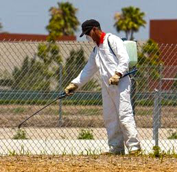 Pest Control SETX - commercial pest control Southeast Texas