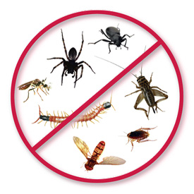 Pest Control SETX - industrial pest control Beaumont Tx