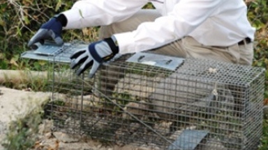 Pest Control SETX, industrial pest control Port Arthur, Commercial pest control Vidor, Commercial pest control Lumberton Tx, Commercial pest control Silsbee, Commercial pest control Fred Tx, Commercial pest control Jasper Tx, Commercial pest control Newton Tx, 