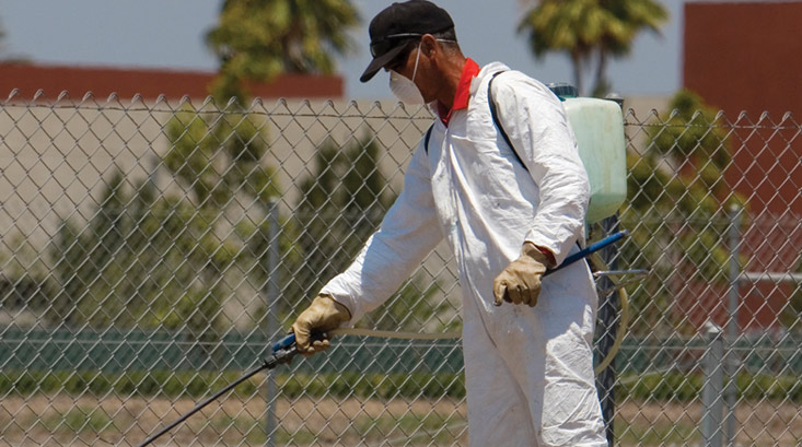 Pest Control Southeast Texas, industrial Pest Control Beaumont Tx, Aattaboy Pest Control Port Arthur, pest control Crystal Beach Tx, pest control Winnie TX, pest control Sour Lake, pest control Orange TX,