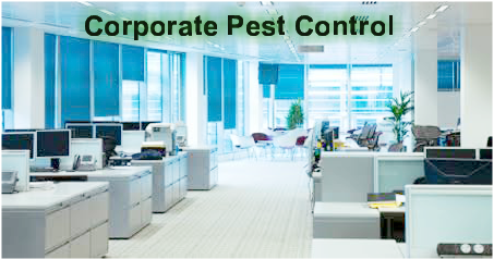 Pest Control in Beaumont corporate offices, Commercial pest control Southeast Texas, Commercial pest control Beaumont Tx, Commercial pest control SETX, Commercial pest control Golden Triangle Tx, Commercial pest control Port Arthur, Commercial pest control Nederland Tx, 