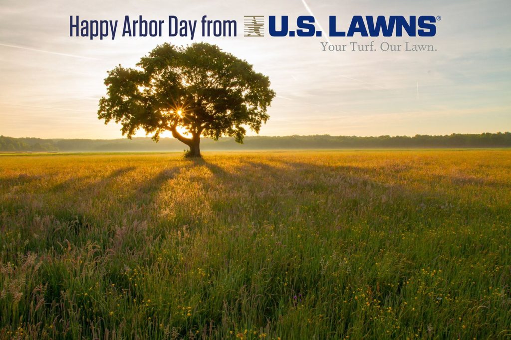 Arbor Day Beaumont TX, Arbor Day Southeast Texas, SETX Arbor Day Activities, US Lawns Beaumont, Landscaping Southeast Texas, SETX landscaping contractor, landscaping Orange TX