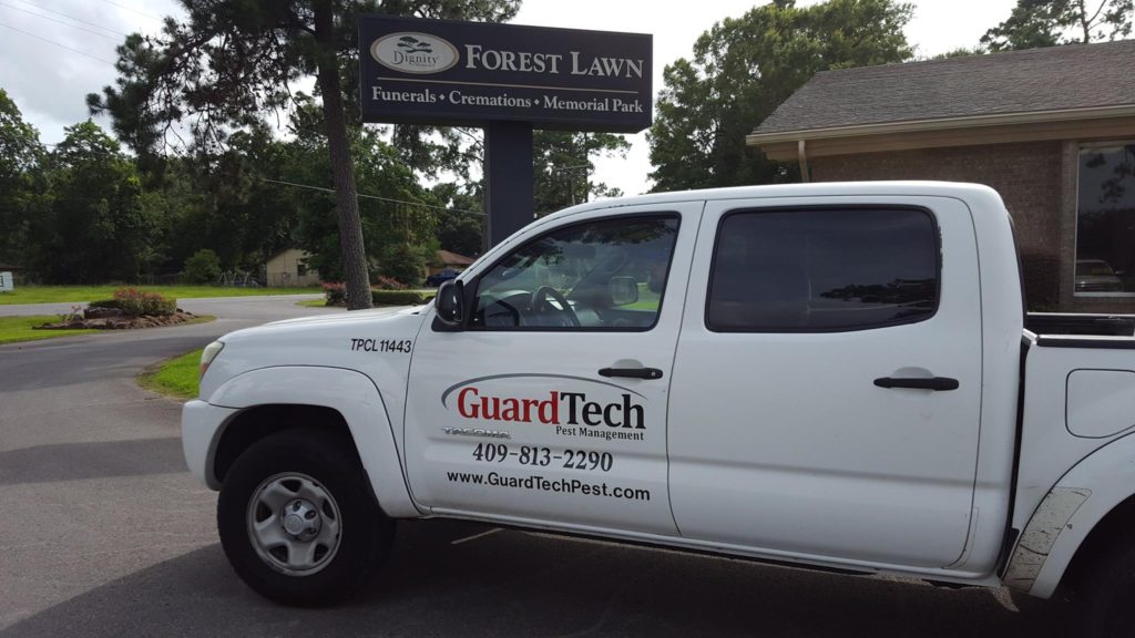 pest control Southeast Texas, pest control SETX, pest control Beaumont TX, pest conrol Port Arthur, pest control Orange TX, pest control Vidor, pest control Lumberton TX, pest control Sour Lake, rodent control Beaumont, SETX rodent control, Southeast Texas rodent control