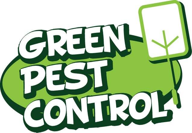 pest control Southeast Texas, pest control SETX, pest control Beaumont TX, pest conrol Port Arthur, pest control Orange TX, pest control Vidor, pest control Lumberton TX, pest control Sour Lake, rodent control Beaumont, SETX rodent control, Southeast Texas rodent control