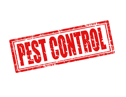 pest control Southeast Texas, pest control SETX, pest control Beaumont TX, pest conrol Port Arthur, pest control Orange TX, pest control Vidor, pest control Lumberton TX, pest control Sour Lake, rodent control Beaumont, SETX rodent control, Southeast Texas rodent control