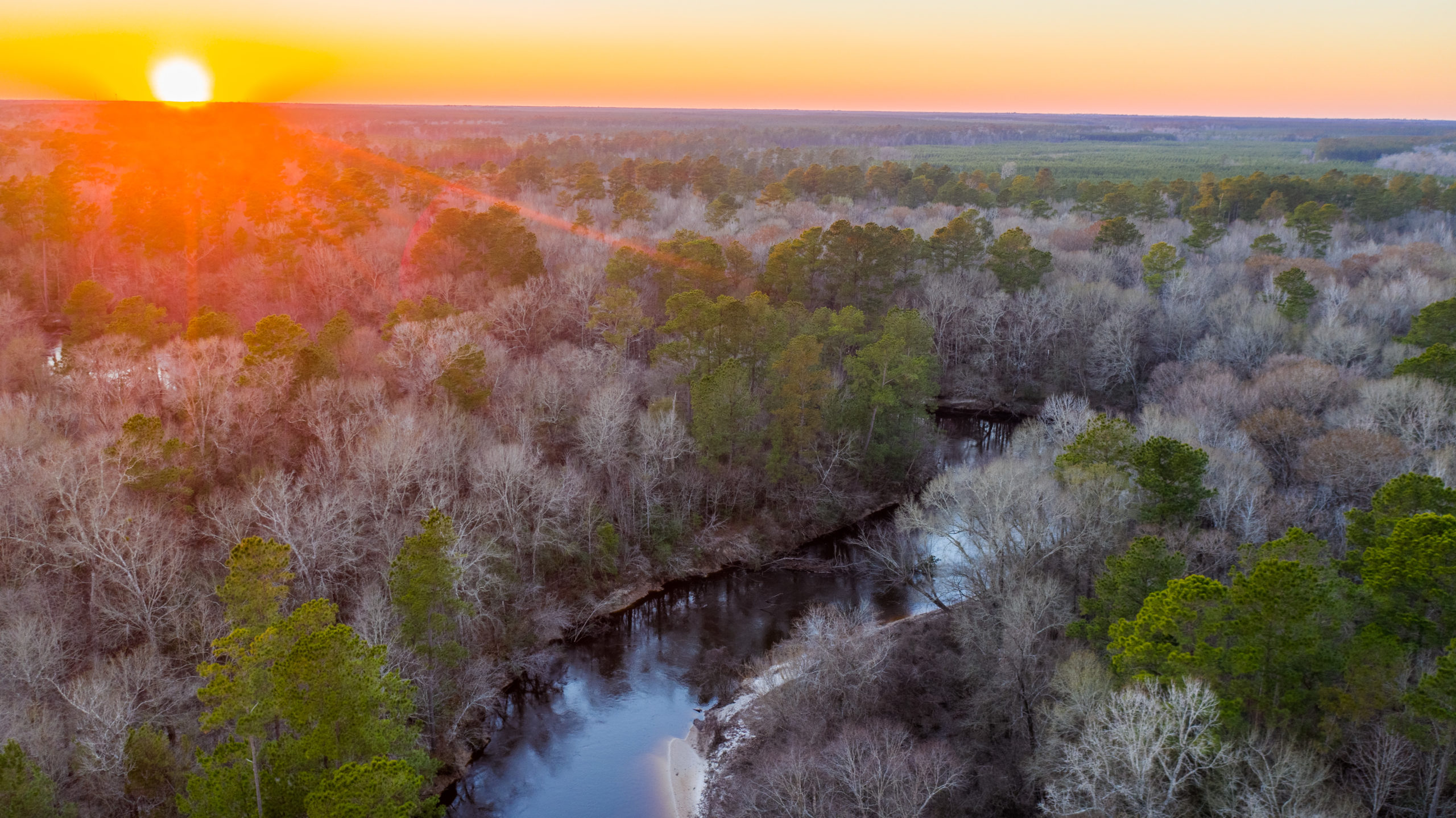 wedding venue Big Thicket, rental cabin Southeast Texas, Silsbee event venue, Kountze wedding hall,