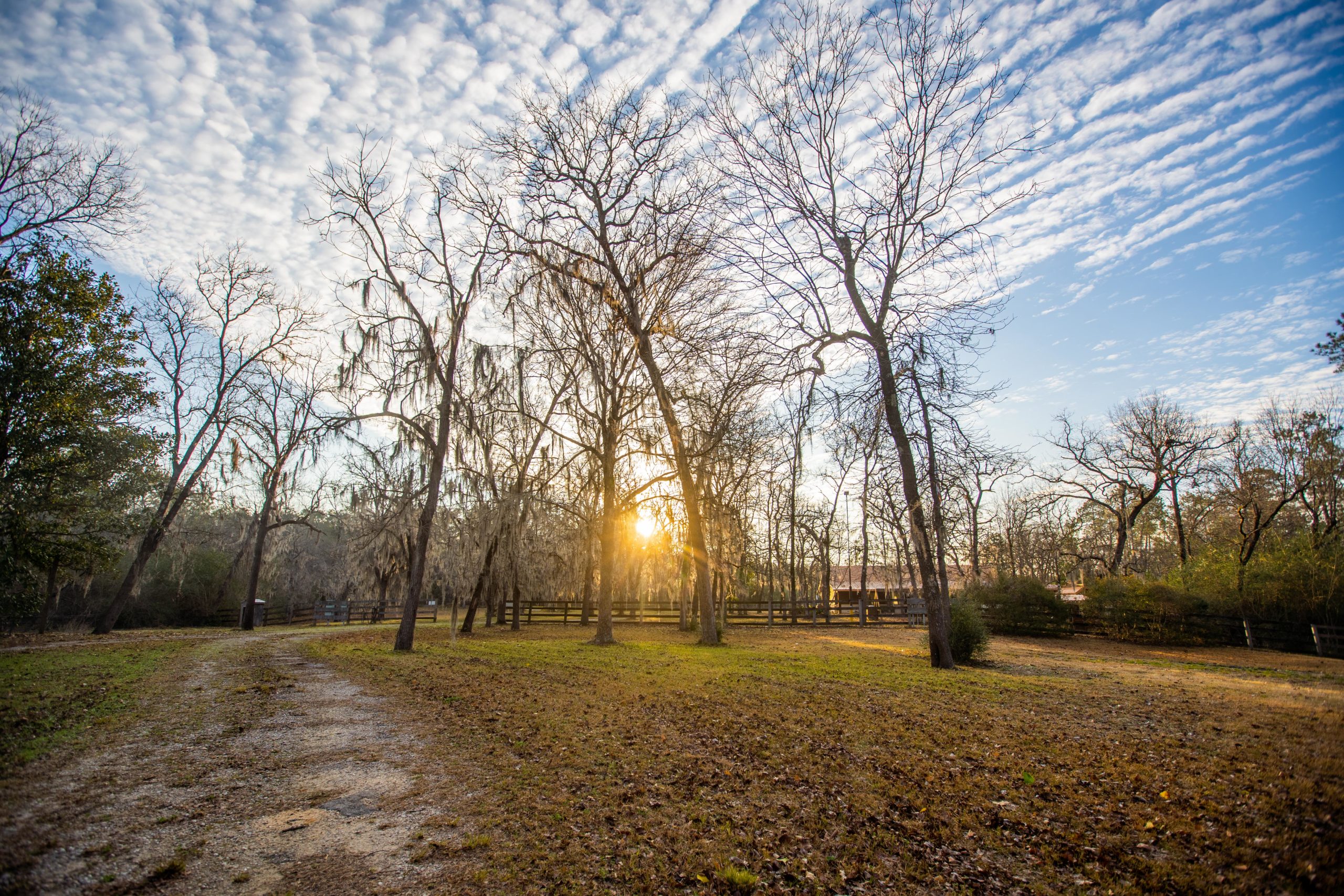 wedding venue Big Thicket, rental cabin Southeast Texas, Silsbee event venue, Kountze wedding hall,